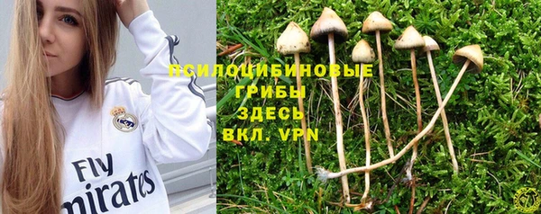 apvp Верхний Тагил