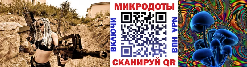 где купить наркоту  ОМГ ОМГ вход  Псилоцибиновые грибы мицелий  Каргополь 